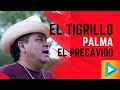 El Tigrillo Palma - El Precavido