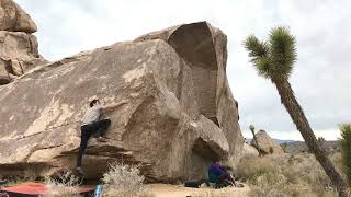 Video thumbnail of Press Release, V1. Joshua Tree