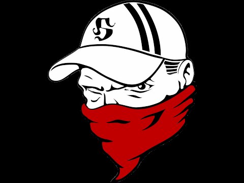 Friendly Fire auf HoGeSa Demo.Polizisten verletzen sich selbst