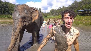 MUD BATH with an ELEPHANT! Chiang Mai Thailand