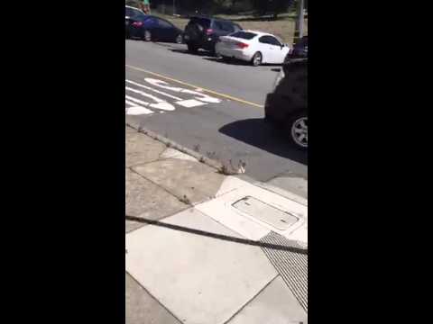 Dan Ryckert - Pre flight @tacobell run [Periscope] (09/18/2015)