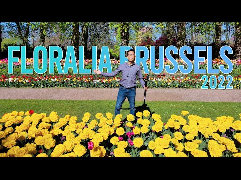 Floralia Brussels: The biggest flower festival in Belgium | The Planet V [4K]