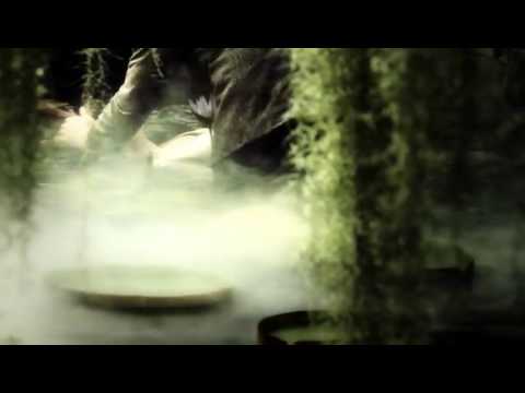 Miro Jaros a Dominika Mirgova - Na Pokraji Sil ( Idan Raichel )