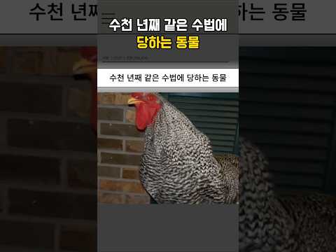 수천 년째 같은 수법에 당하는 동물