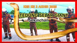 Download lagu ULAR TEDUNG SELAR KE 2 BERJAYA DITAWAN ABANG BOMBA SEKINCHAN | ⁨@YoepBomba⁩ mp3