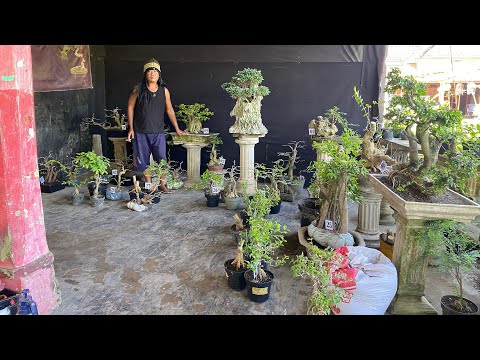 CRAZY PACKAGE REVIEW AGAIN😱😱😱😱 INTERESTED WA 085150612663