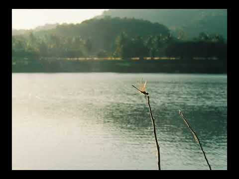 WHATFALSE - วันนี้อากาศดี..