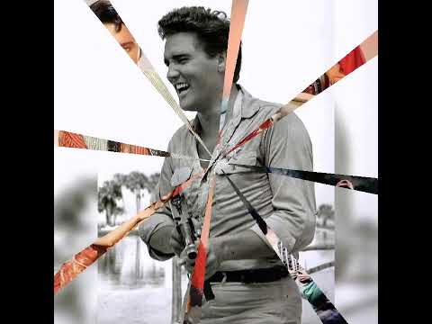 Elvis - Moments in Time vol 229