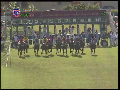 The Blue Label Barbe Cup | Tandragee | S.Arnold