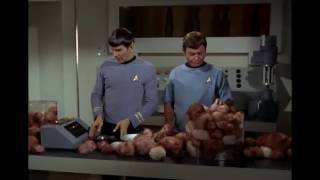 Spock's logical analysis about the benefit of owning a tribble