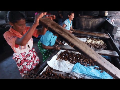 download lagu mp3 mp4 Rapadura Sugar, download lagu Rapadura Sugar gratis, unduh video klip Rapadura Sugar