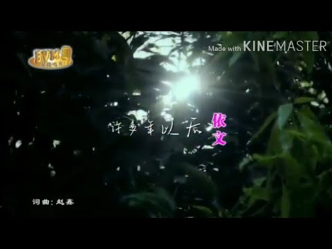 [KARAOKE] 许多年以后 Xu Duo Nian Yi Hou 卡拉OK版 - Yvonne 依文