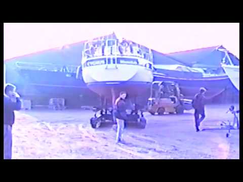 DL - Tewaterlating Cygnus (1993) - 50fps