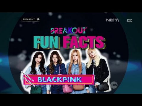 Breakout Fun Facts - Black Pink