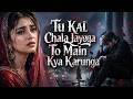 Tu Kal Chala Jayega To Main Kya Karunga Soulful Qawwali Emotional Mix Taal Ghar