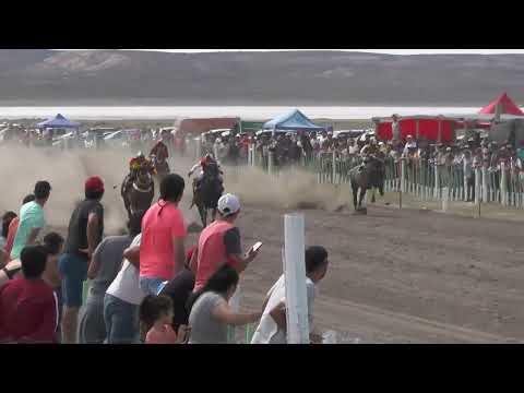 ENANA  Club Hipico "Las Lajas" -  Los Menucos - Rio Negro -  05-02-2023