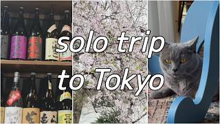 駐在妻、一人一時帰国に涙：A little journey back to Japan in Sakura season