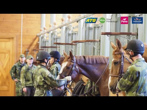 Hästnet Digital Clinic Beridna Högvakten och Försvarsmakten
