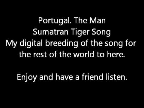 Sumatran Tiger - Portugal. The Man - Breed The Endangered Song