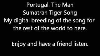 Sumatran Tiger - Portugal. The Man - Breed The Endangered Song