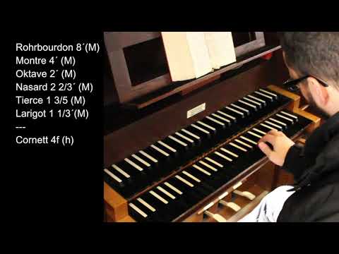 Tour Of Stops X - Register-und Plenavorstellung der historischen Merklin Orgel (1821) in Freistett