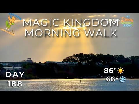 Live webcam of The Disney With Sean Show