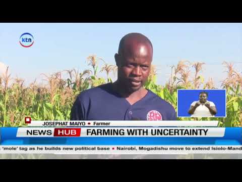 Farmers Caught Between Drought and El Niño Flood Threat as Weather Turns Uncertain