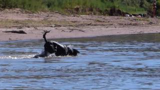 'Life is a River', by Bernie Skydrummer