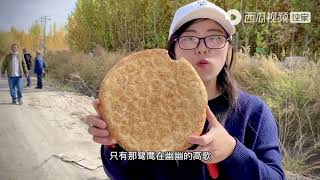 农村悦悦：一首沙漠骆驼，配上悦悦和几位朋友在新疆之行的画面，太漂亮了