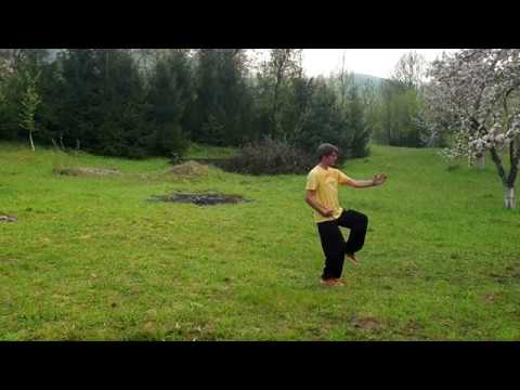 Cezar Culda Taijiquan (Taichi) 85 forme 1