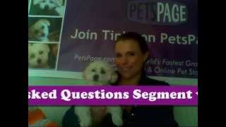 Pet Tips - How Do I Deal With Tear Stained Eyes?