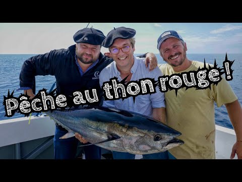 Bluefin tuna fishing - Gueuleton