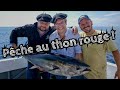 Pêche au thon rouge - Gueuleton