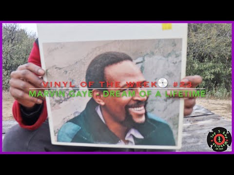 VINYL OF THE WEEK💿 #23: Marvin Gaye - Dream of A Lifetime