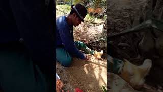 Download lagu Masa kecil kurang bahagia lucu. bikin ngakak, 😂😂😂 mp3 Download lagu Masa kecil kurang bahagia lucu. bikin ngakak, 😂😂😂 mp3