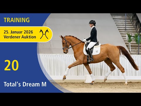 20 Total's Dream M by Total Diamond PS | Verden Auction Online - Sporthorses & Youngster - Jan., 25