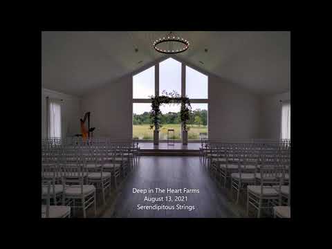Promotional video thumbnail 2 for Serendipitous Strings