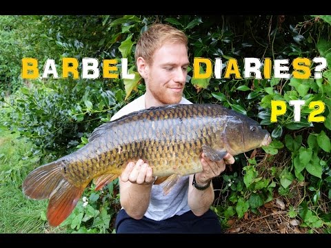 Barbel Diaries Pt2 - The Ginger Fisherman