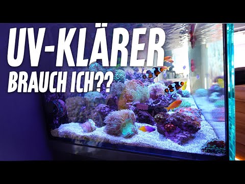 Saltwater aquarium with UV clarifier? - Q&A with PlanktonPlus Aquaristik
