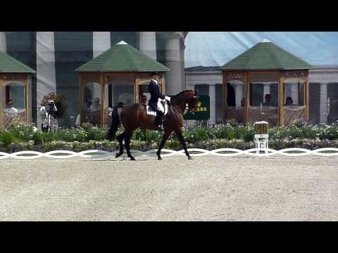 CHIO Aachen 2010 - Grand Prix - Brett Parbery