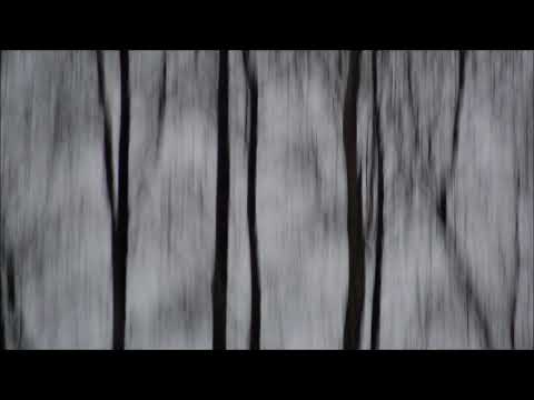 Jana Beltran- Tapete