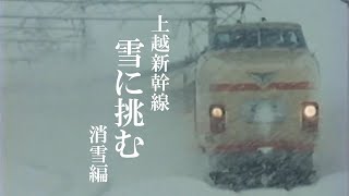 [閒聊] 今年是上越新幹線開業40周年