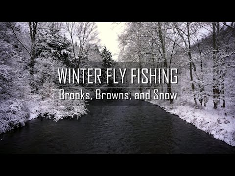Winter Fly Fishing | Brooks, Browns, and Snow