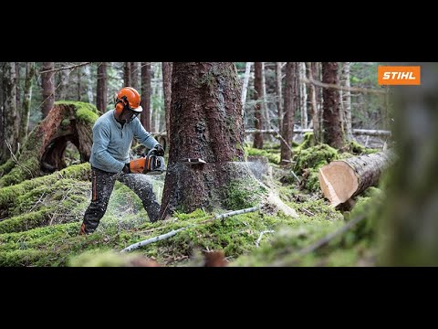 STIHL MS 462 Chainsaw