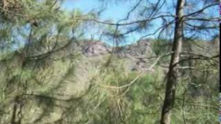 Bonnie Tyler - Save up all your tears