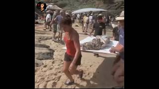 Download lagu Real mermaid story tamil  | கடல்கன்னி #shorts #shortsfeed #tamilnews #vidamuyarchi @madangowri mp3