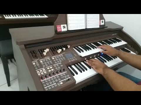 Orgão Eletrônico Tokai Md 750 - Loja Teclasom
