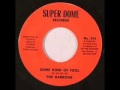 the barrons - some kind of fool