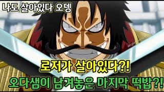 [원피스 분석]로저가 살아있다?! 오다샘의 마지막 떡밥?!