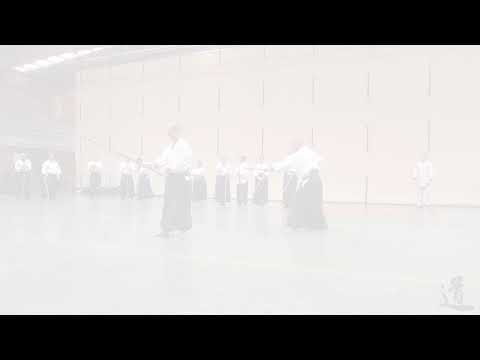 TAE - 13 JO KATA - Partner practice